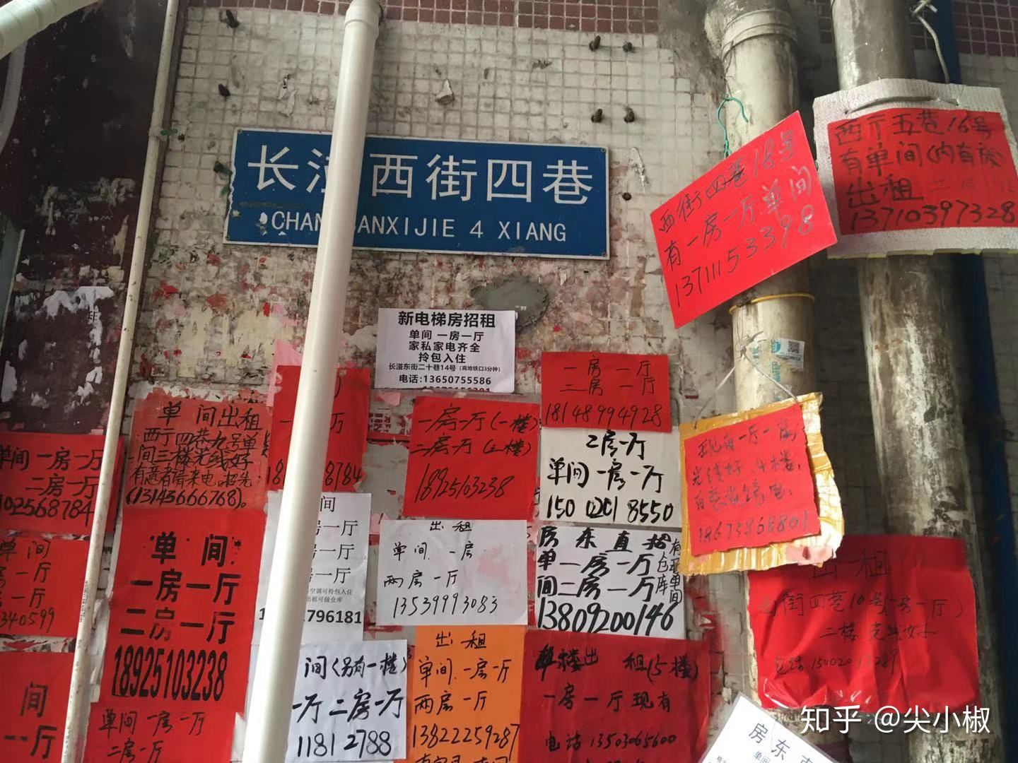 被“以罚代管”的制度杀死的环卫工