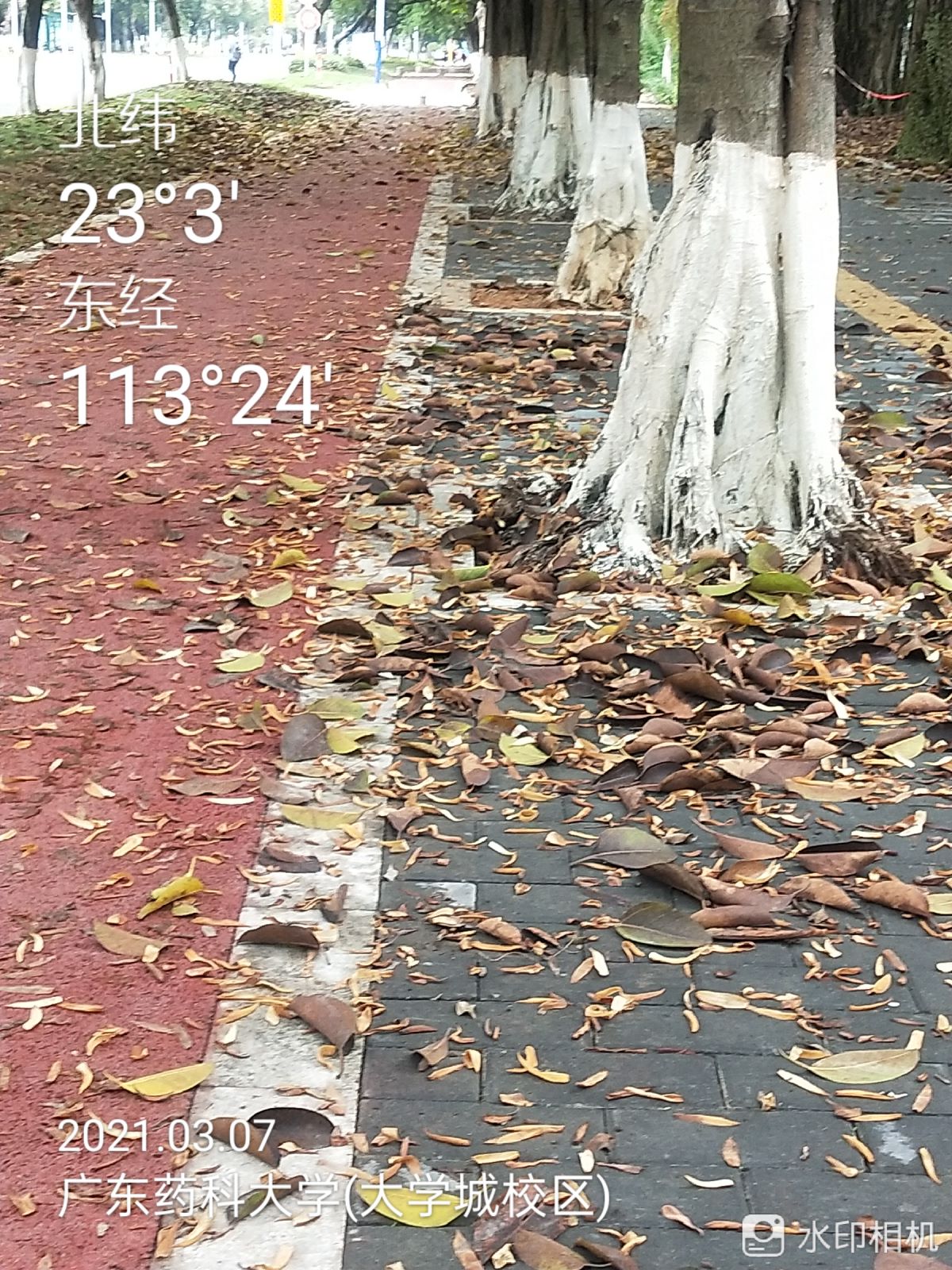 环卫调查：大学城环卫公司绿德狂吃千万“人头费”，半年内逼走逾30名环卫工